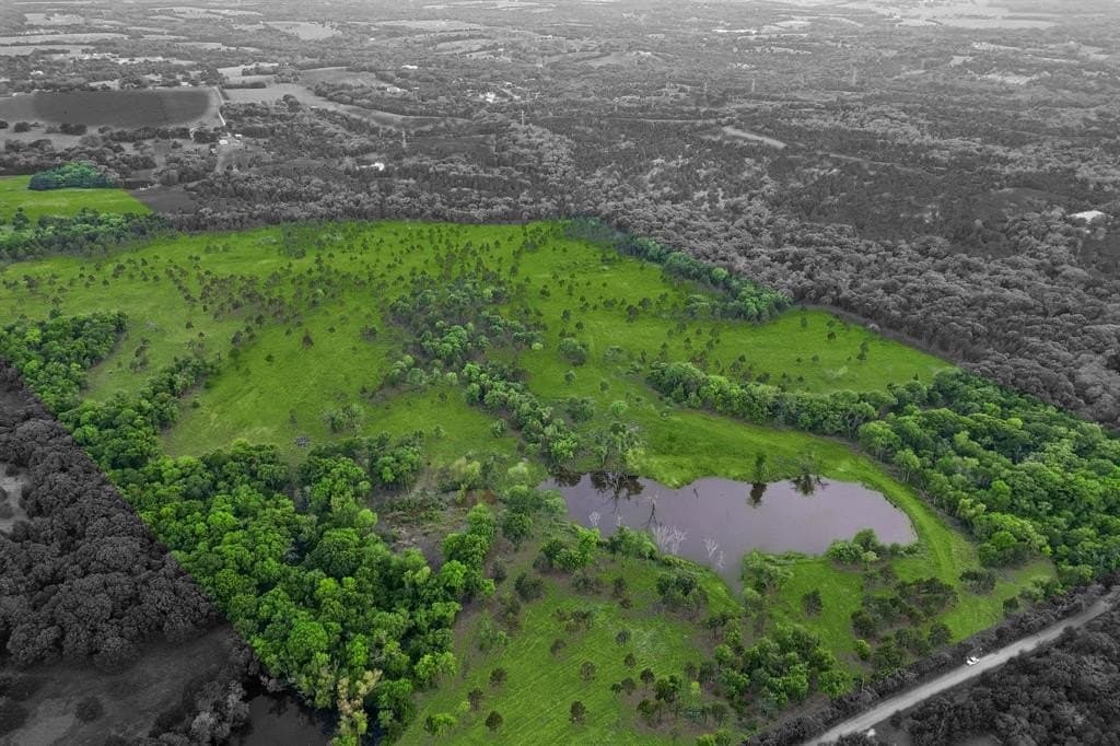 109.78 acres in Grayson County gallery image 2