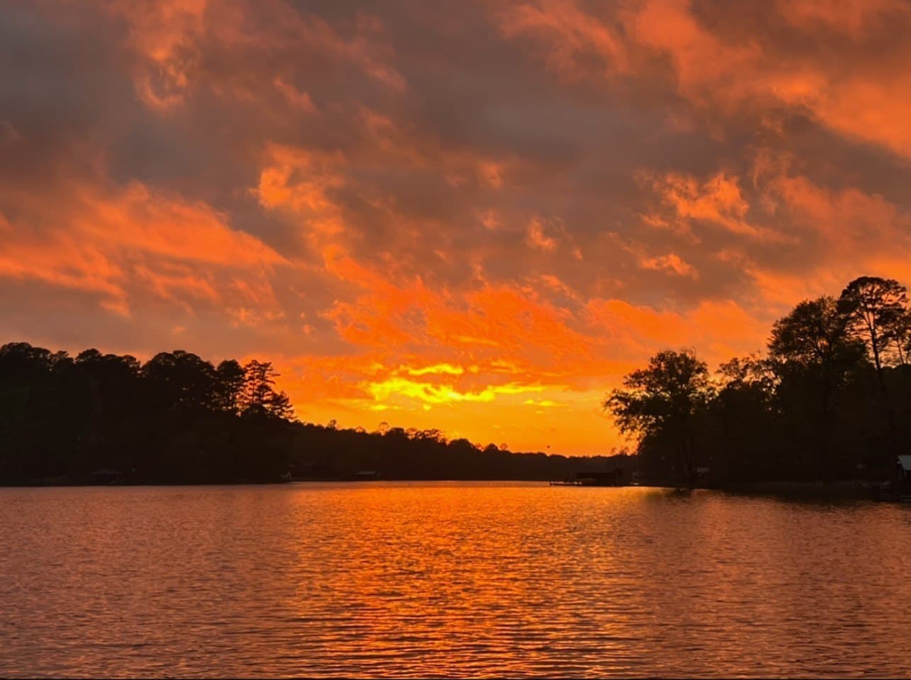 330 acres in Wood County - photo 40