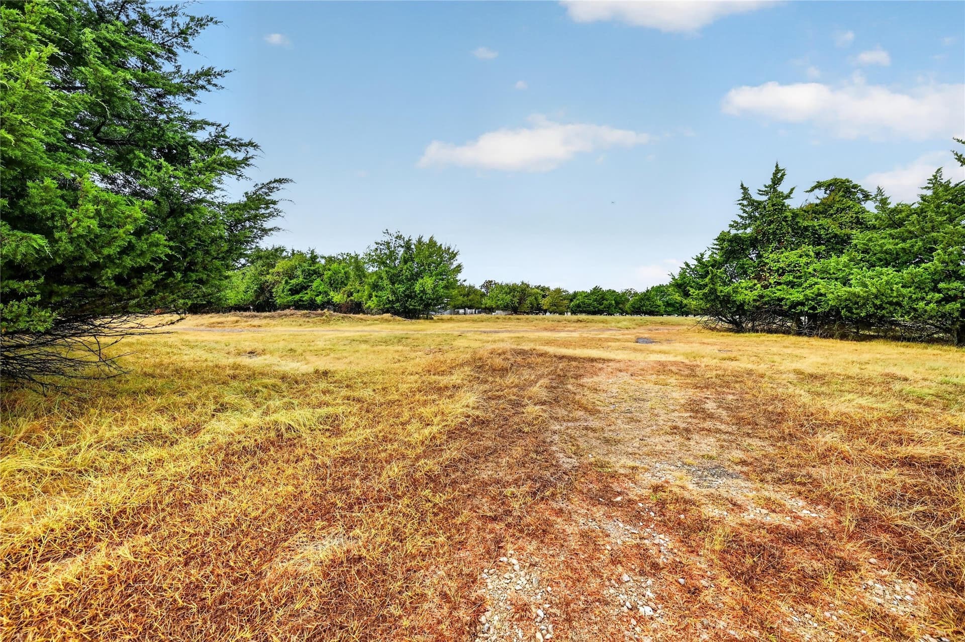 5.59 acres in Dallas County - photo 14