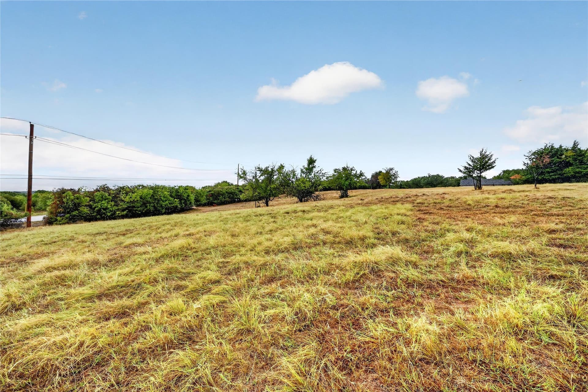 5.59 acres in Dallas County - photo 12