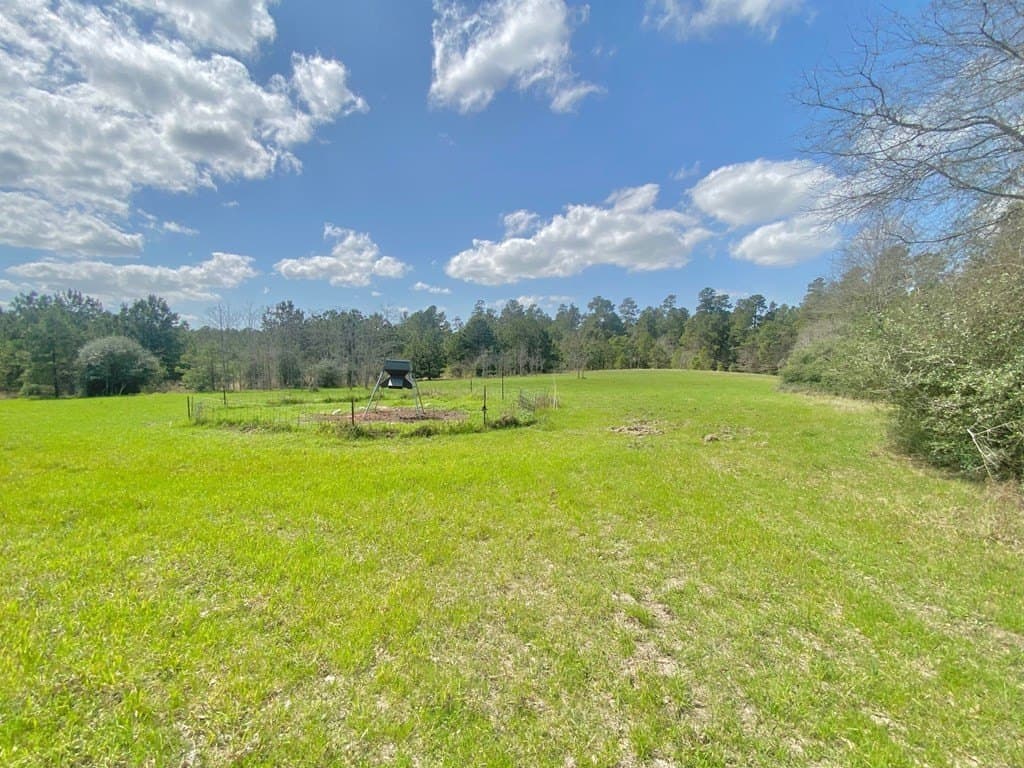 99 acres in Texas County gallery image 4