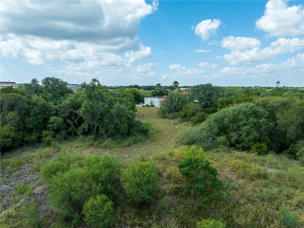 77.19 acres in San Patricio County - photo 8