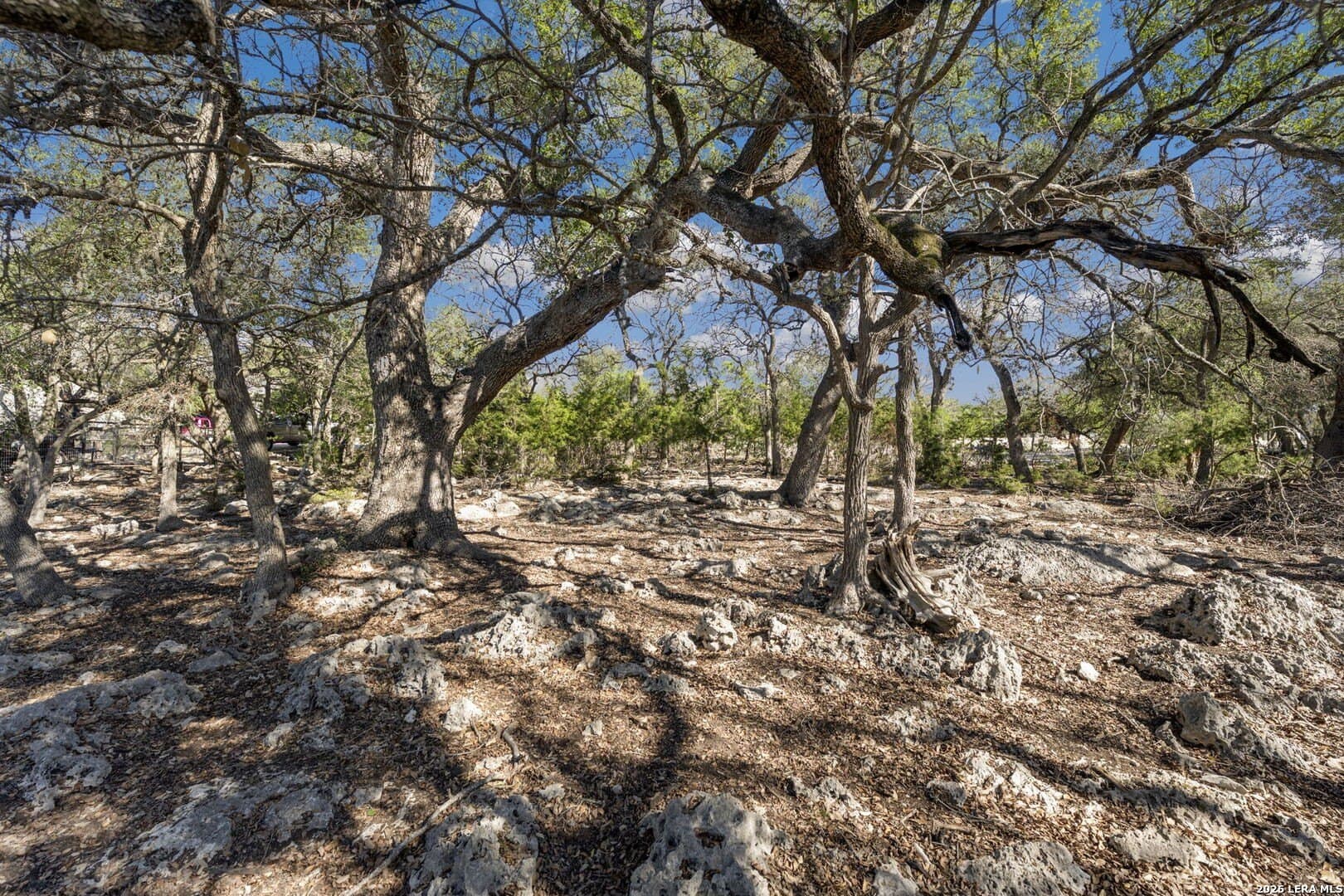 1.42 acres in Comal County - photo 13