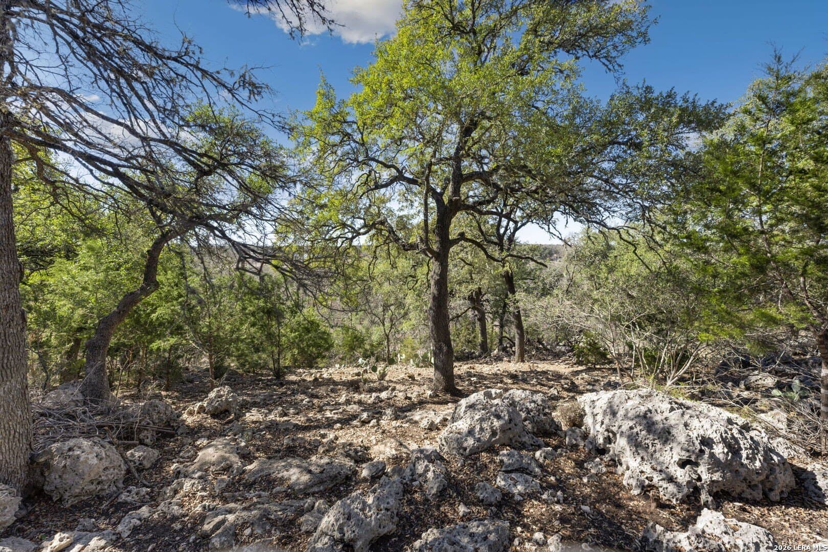 1.42 acres in Comal County - photo 7