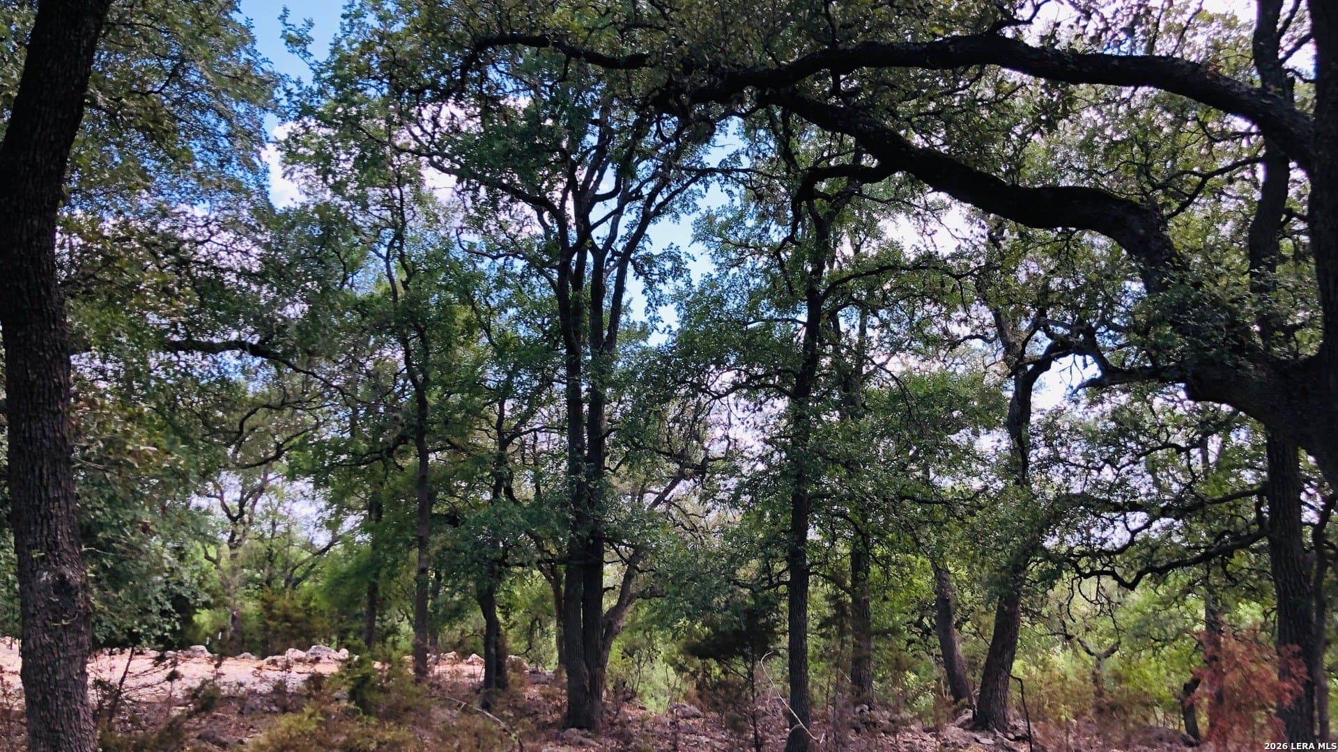 1.42 acres in Comal County - photo 21