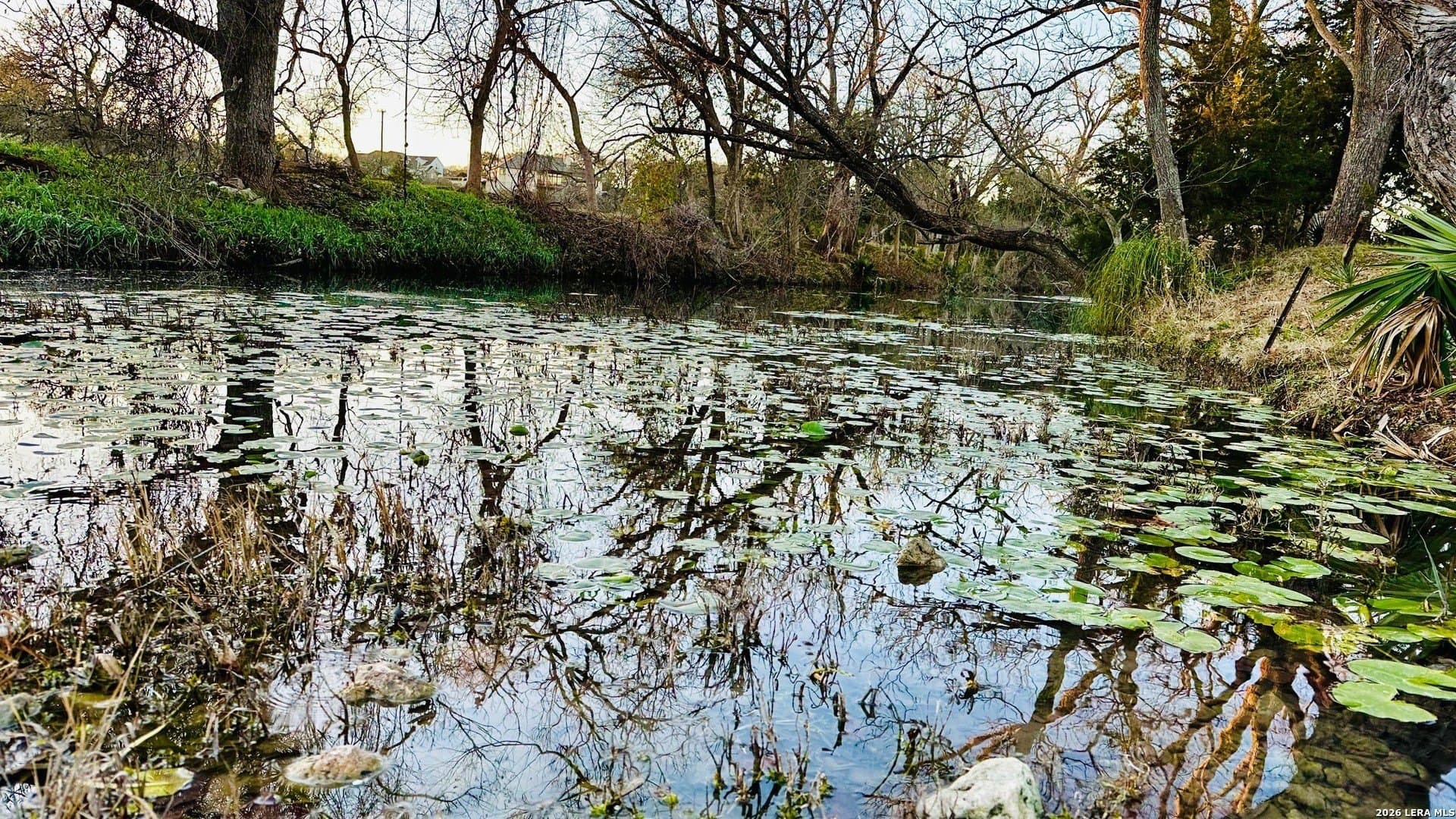 1.42 acres in Comal County - photo 31