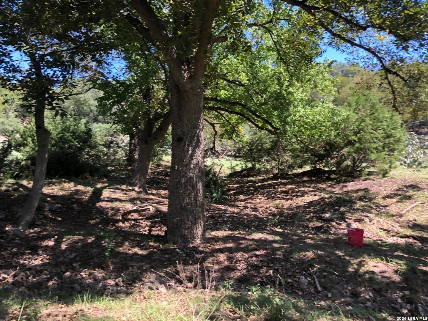 1.42 acres in Comal County - photo 29