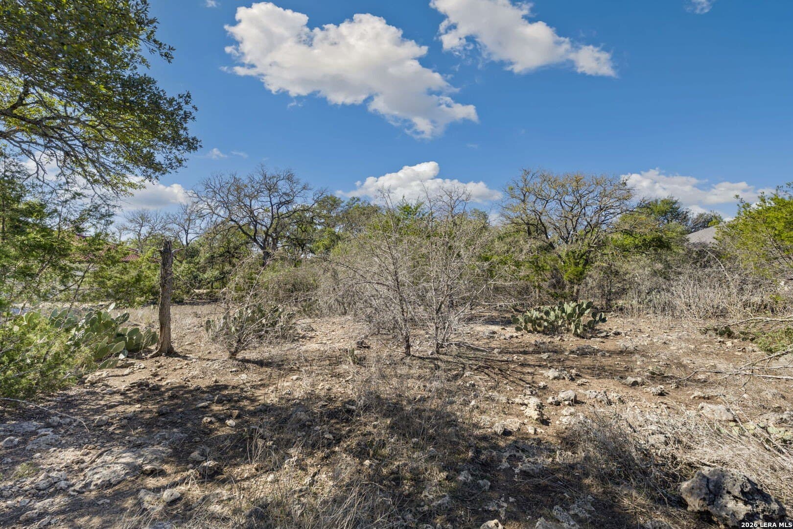 1.42 acres in Comal County - photo 11