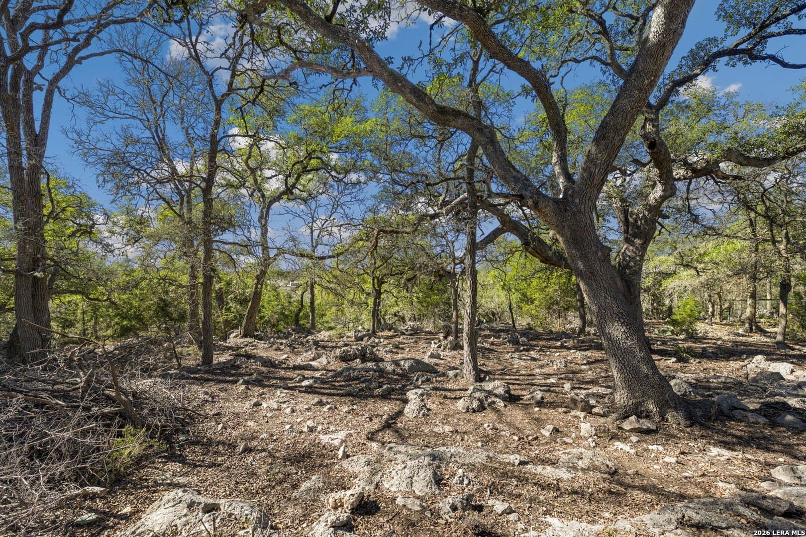 1.42 acres in Comal County - photo 12