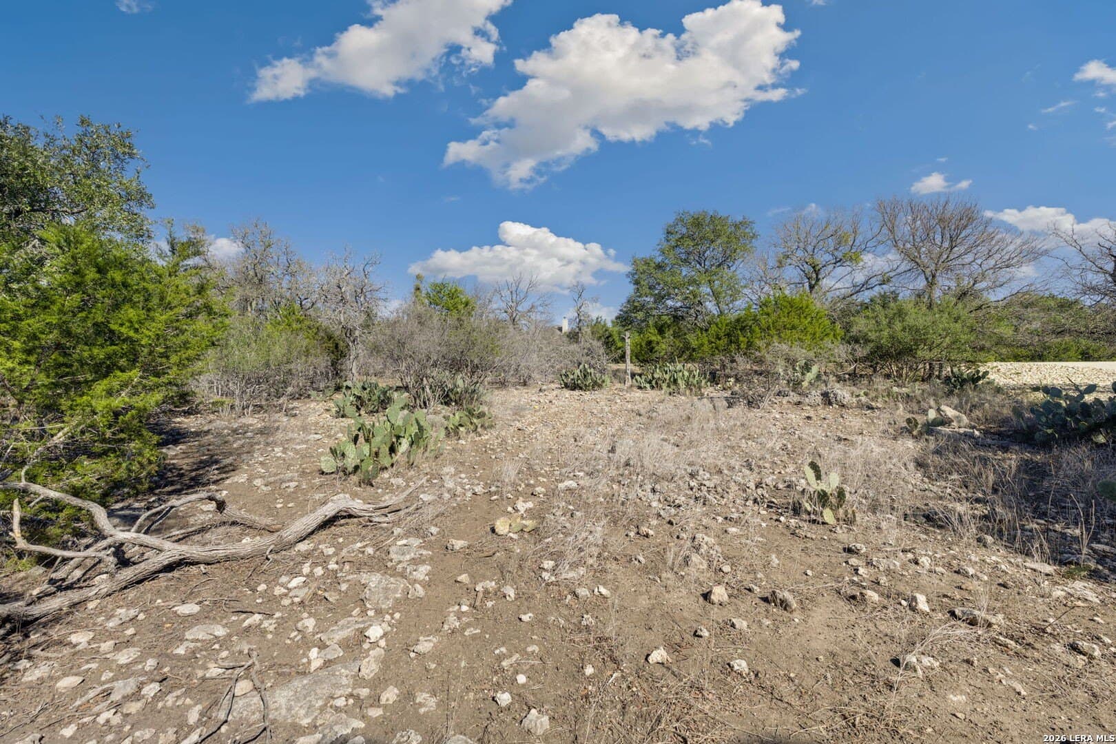 1.42 acres in Comal County - photo 10