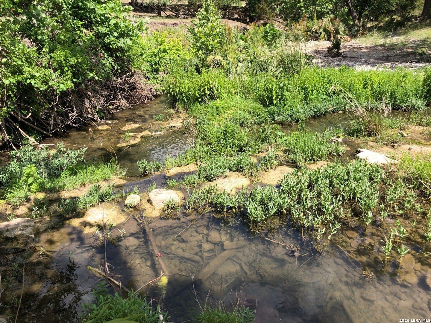 1.42 acres in Comal County - photo 24