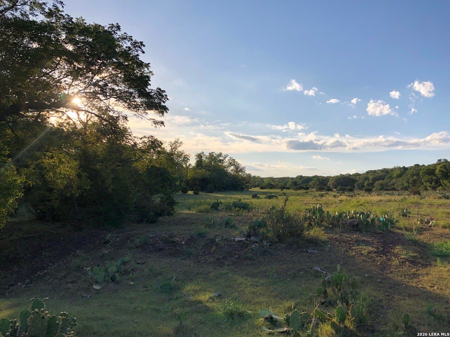 1.42 acres in Comal County - photo 25