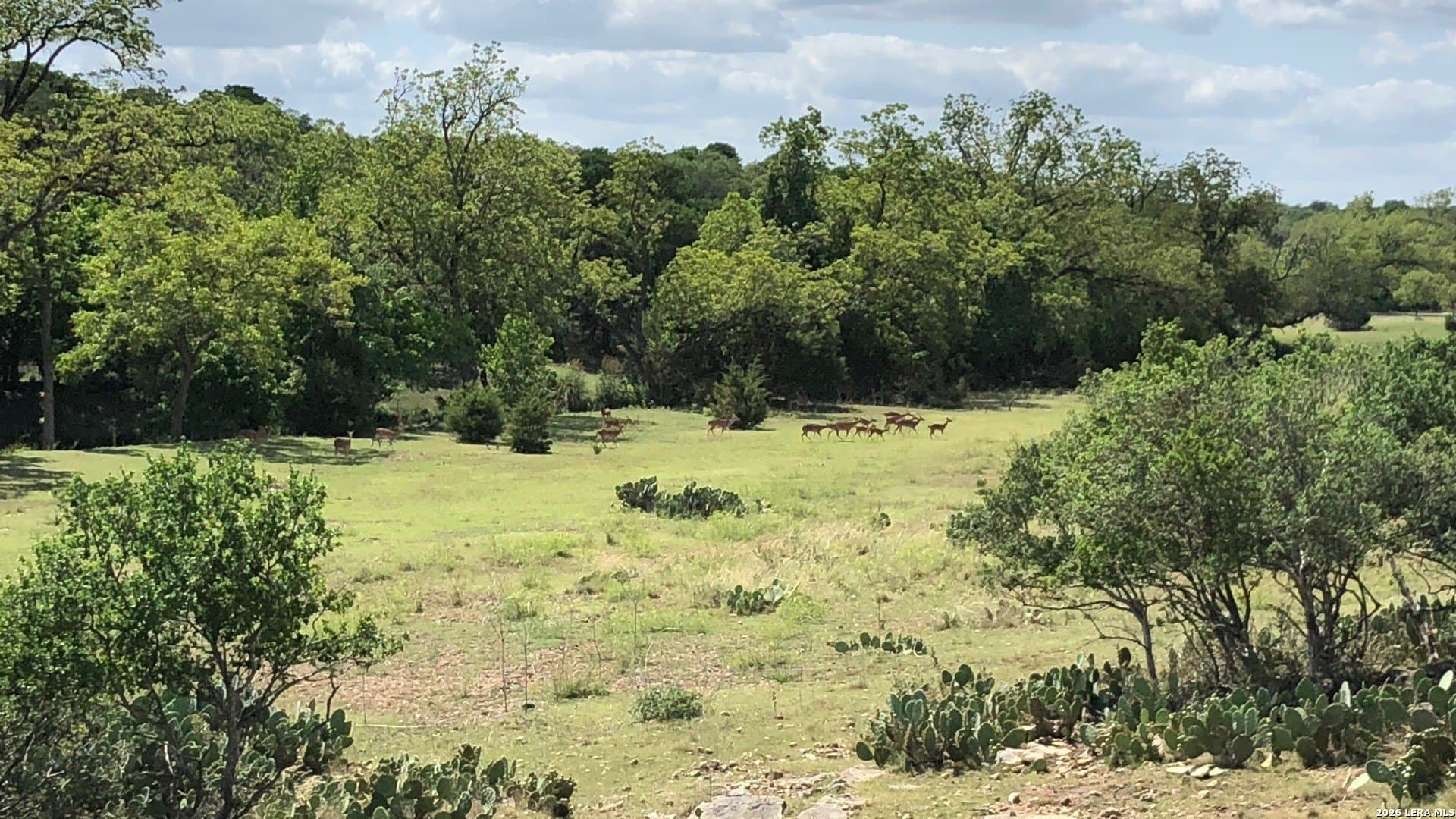 1.42 acres in Comal County - photo 22