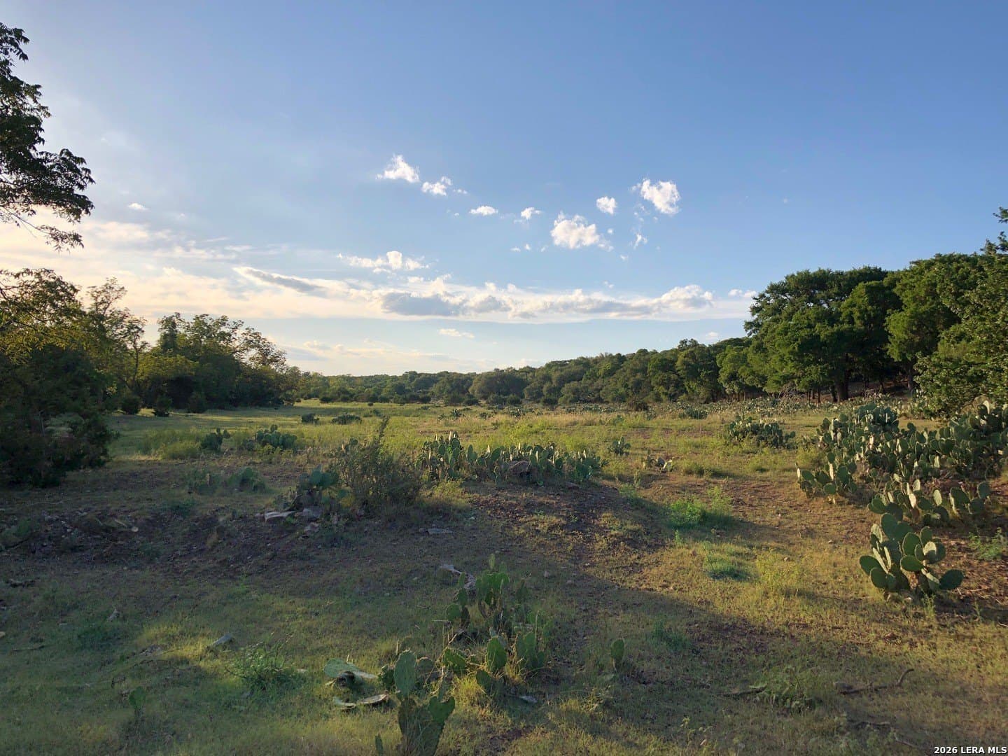 1.42 acres in Comal County - photo 26