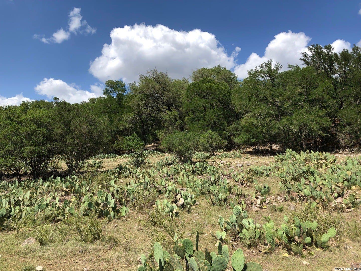 1.42 acres in Comal County - photo 23