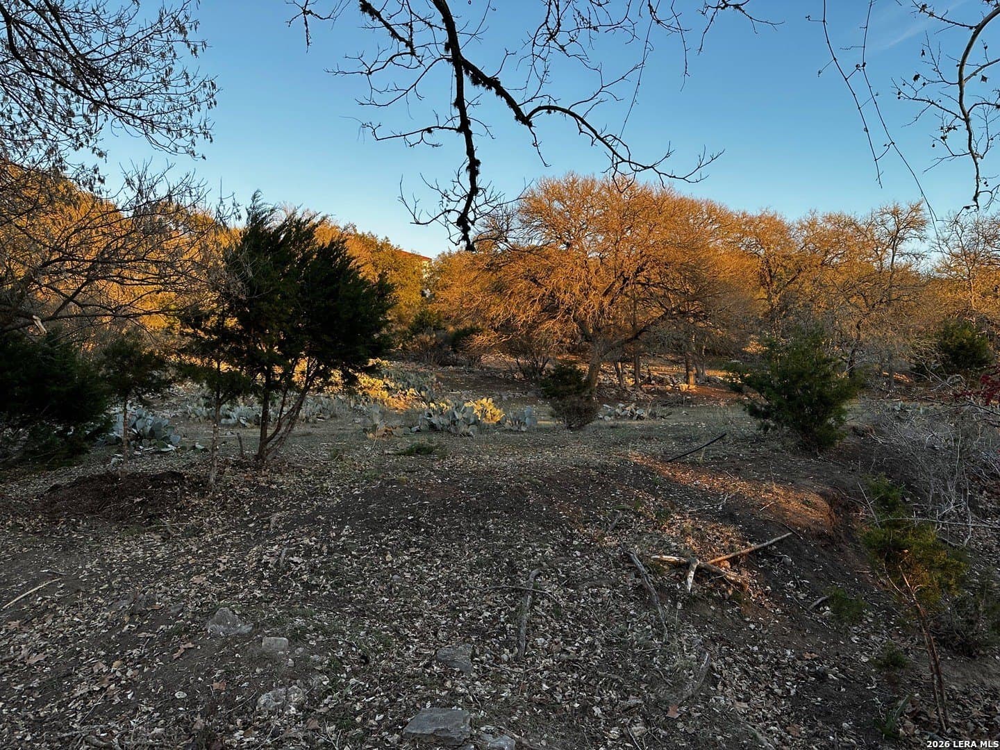 1.42 acres in Comal County - photo 30