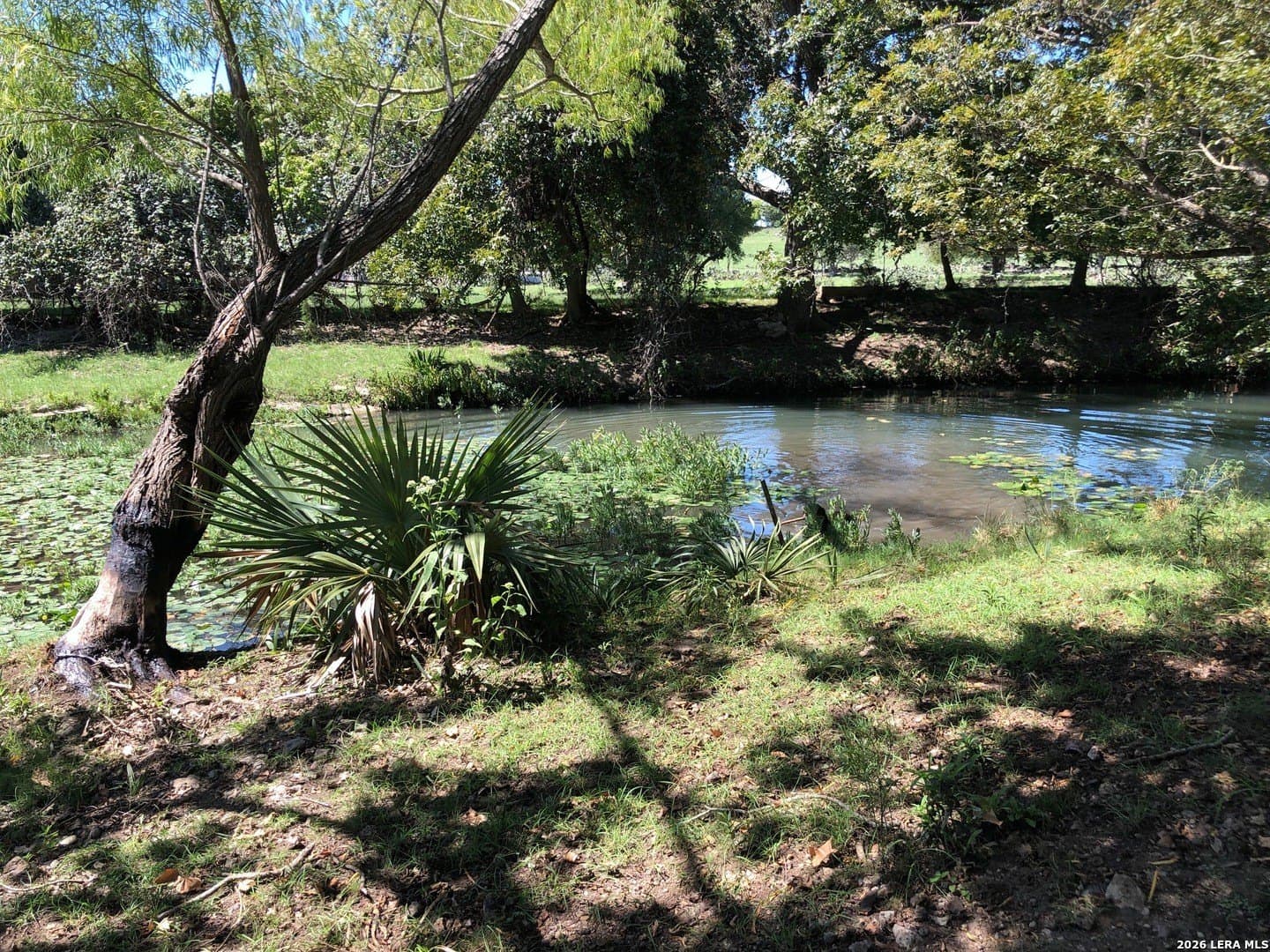 1.42 acres in Comal County gallery image 4