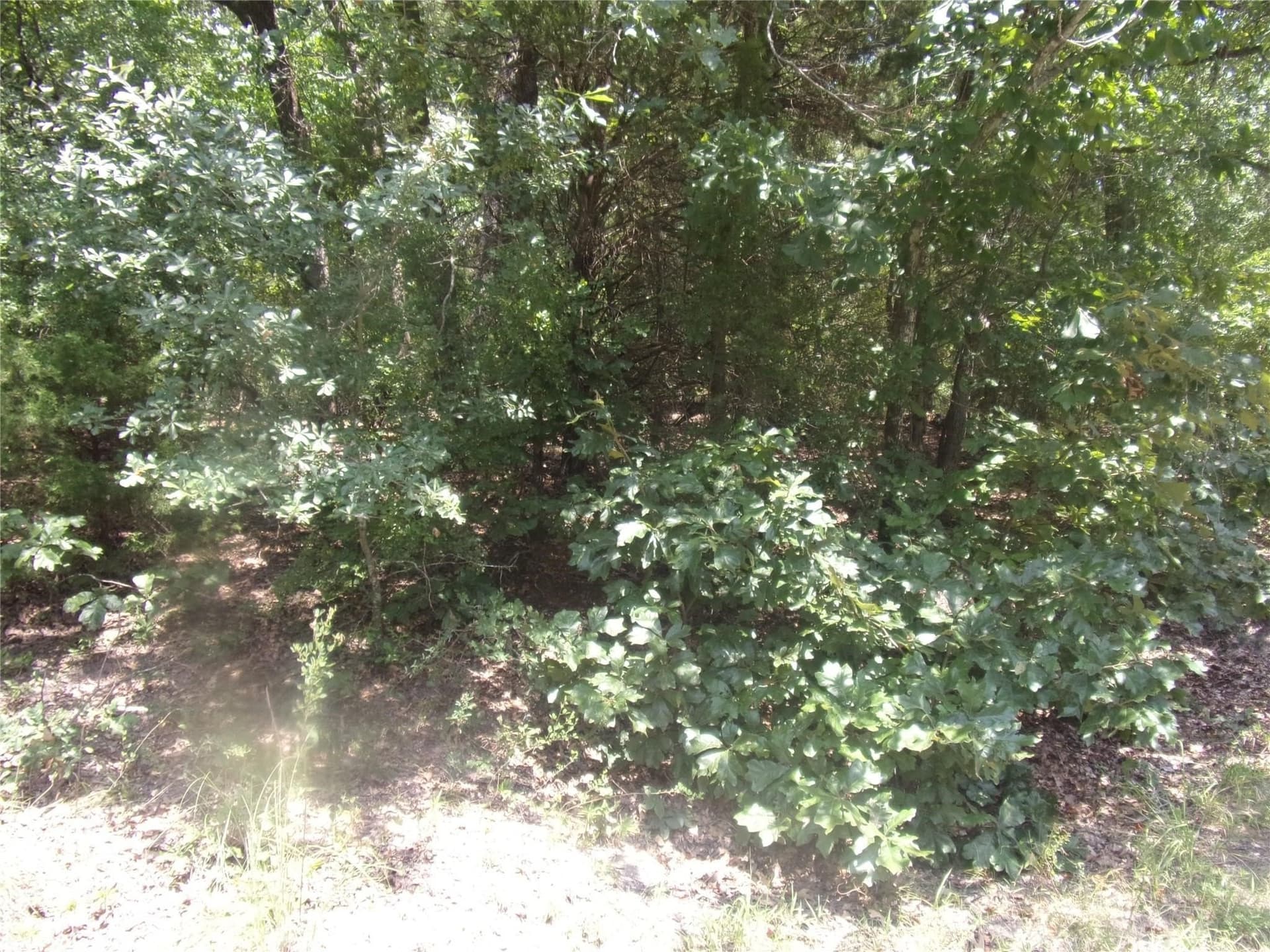 0.21 acres in Van Zandt County - photo 7