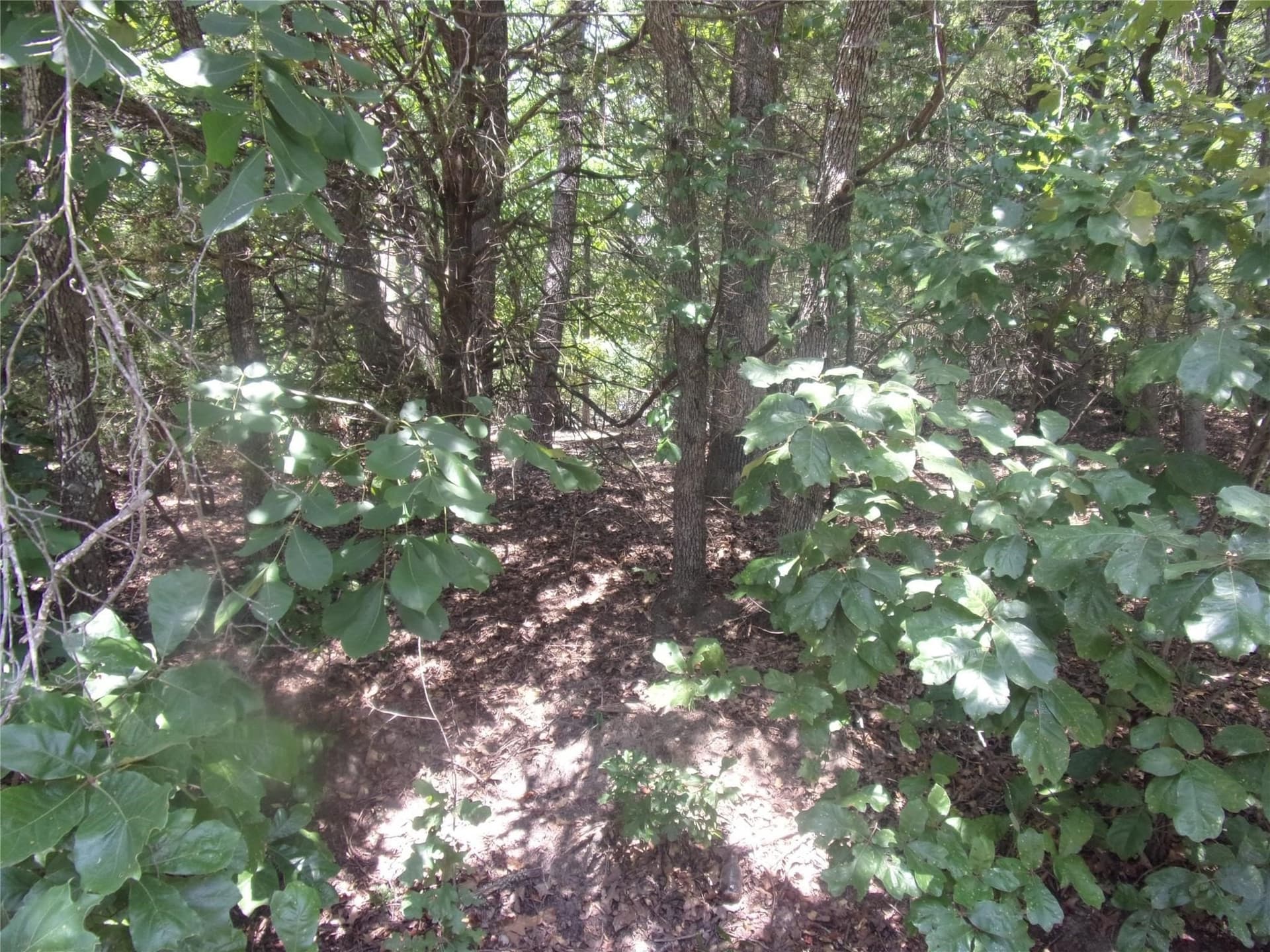0.21 acres in Van Zandt County gallery image 2