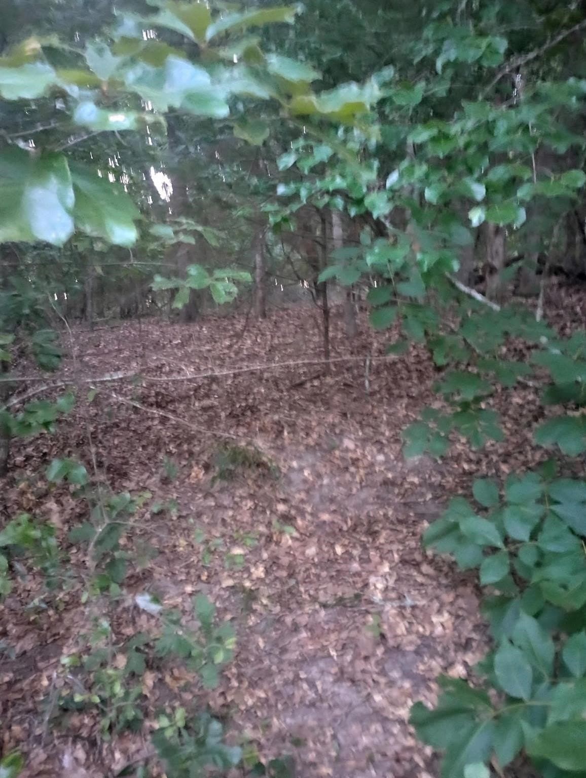 0.21 acres in Van Zandt County - photo 8