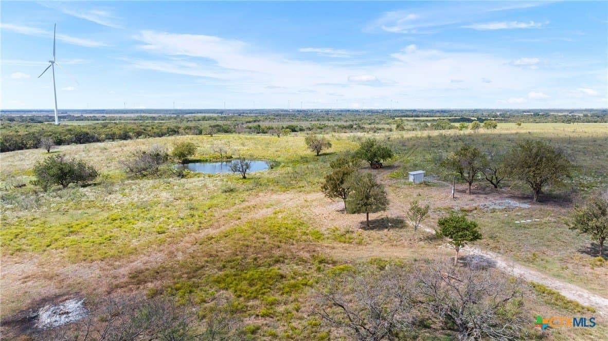 143.17 acres in Limestone County gallery image 3