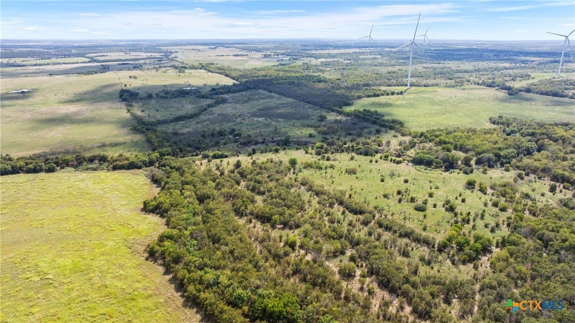 143.17 acres in Limestone County gallery image 4