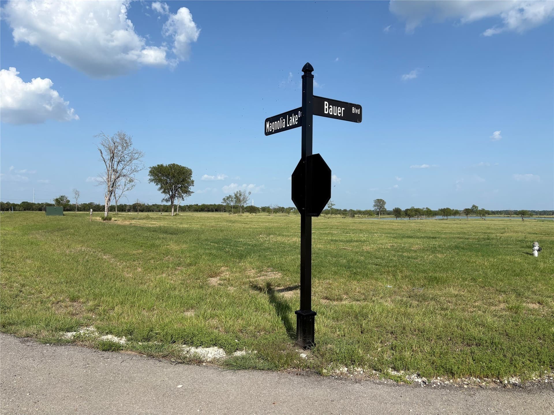 1.01 acres in Navarro County - photo 3