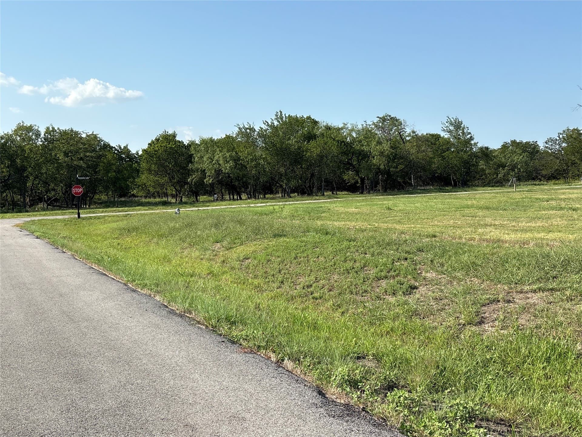 1.01 acres in Navarro County - photo 5
