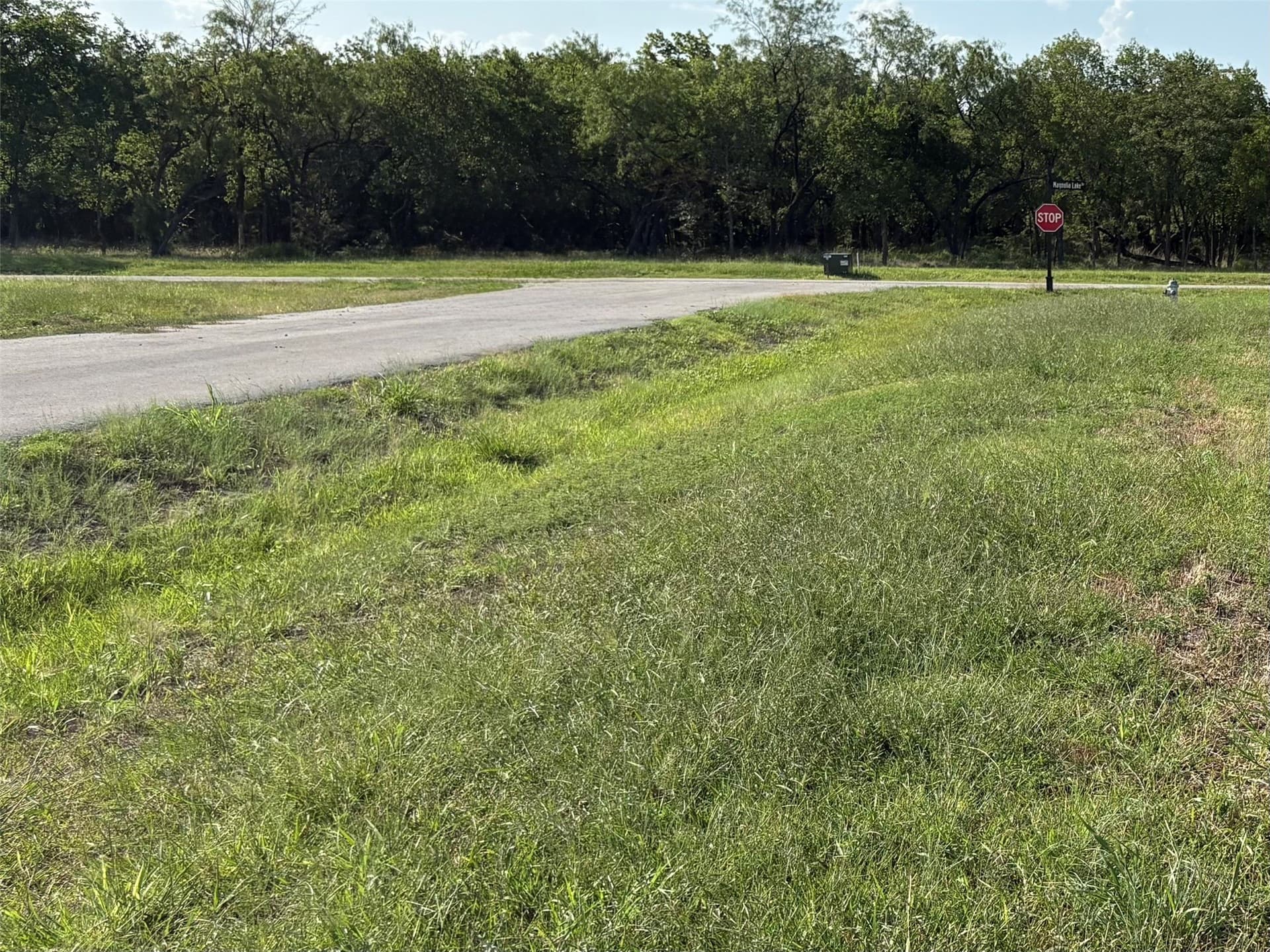 1.01 acres in Navarro County - photo 14