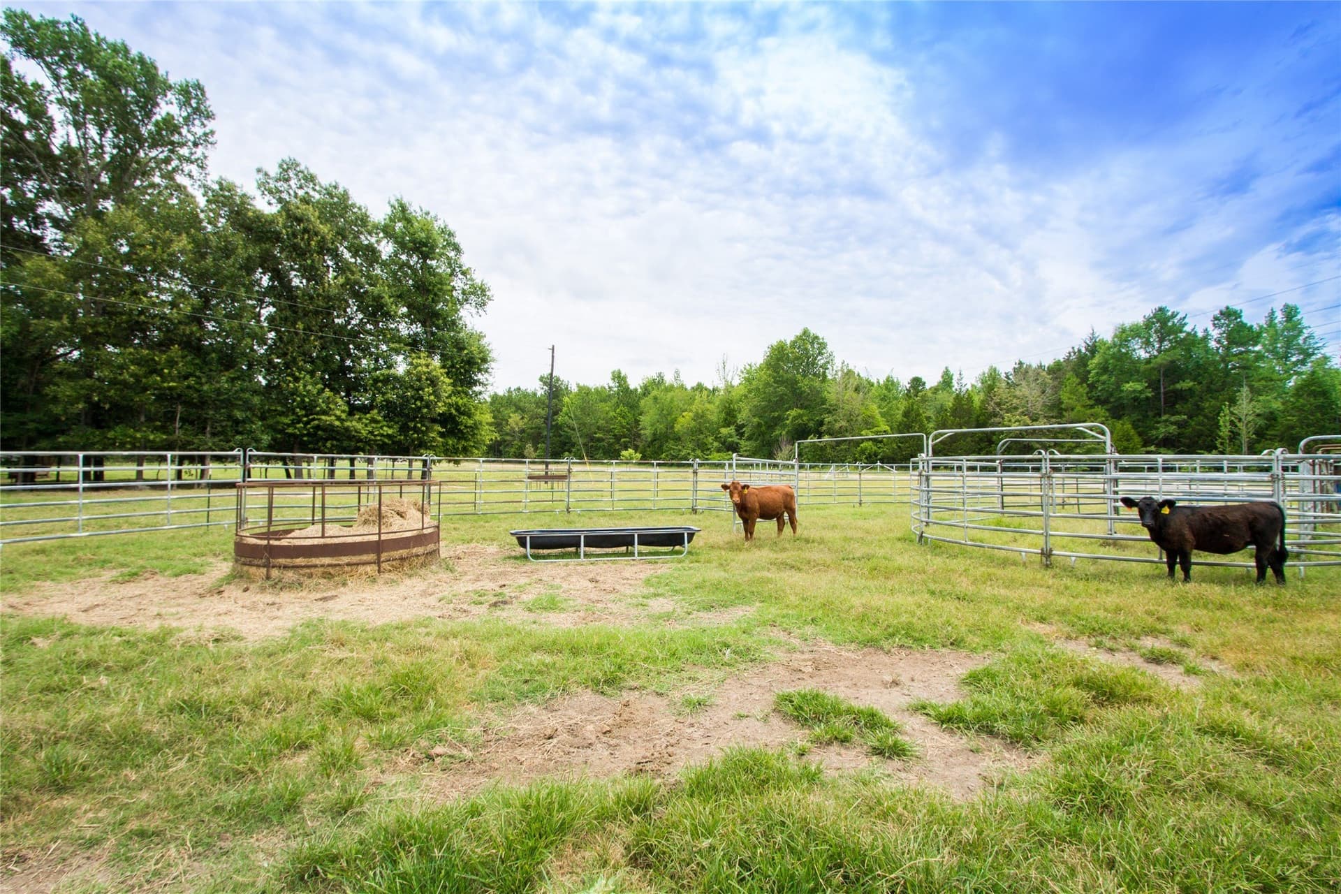 61.2 acres in Van Zandt County featured view