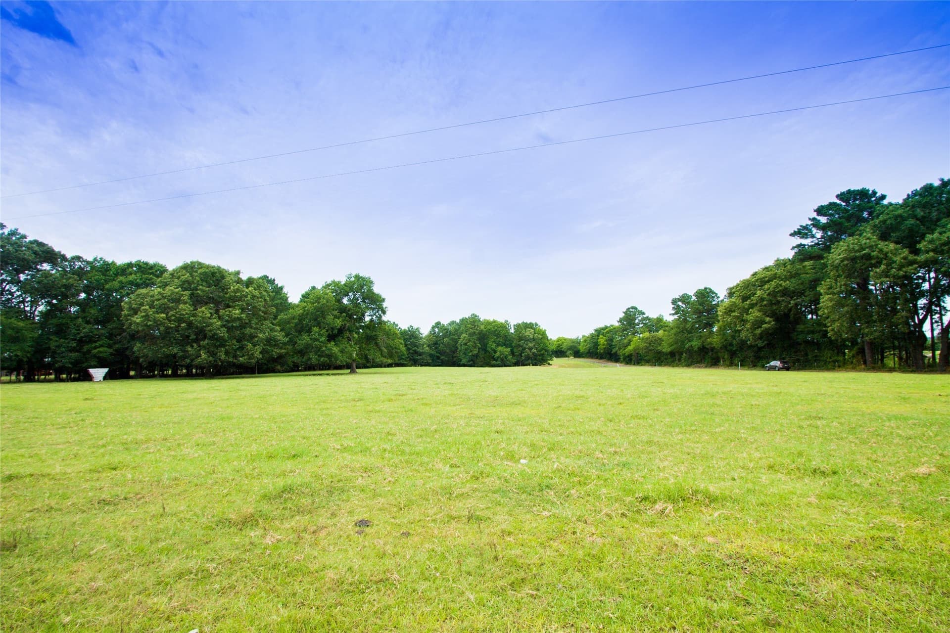 61.2 acres in Van Zandt County gallery image 2