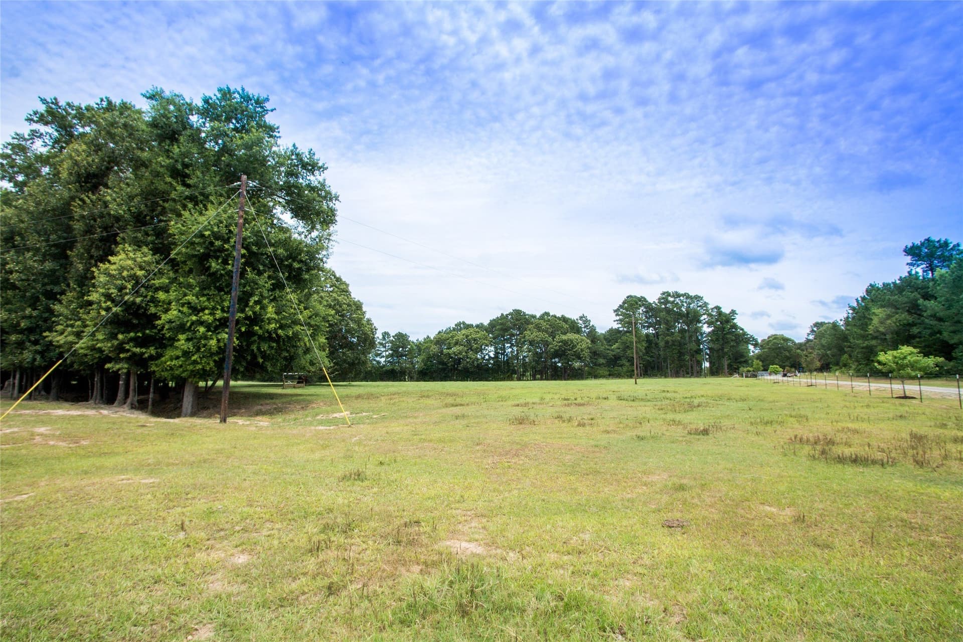 61.2 acres in Van Zandt County gallery image 4