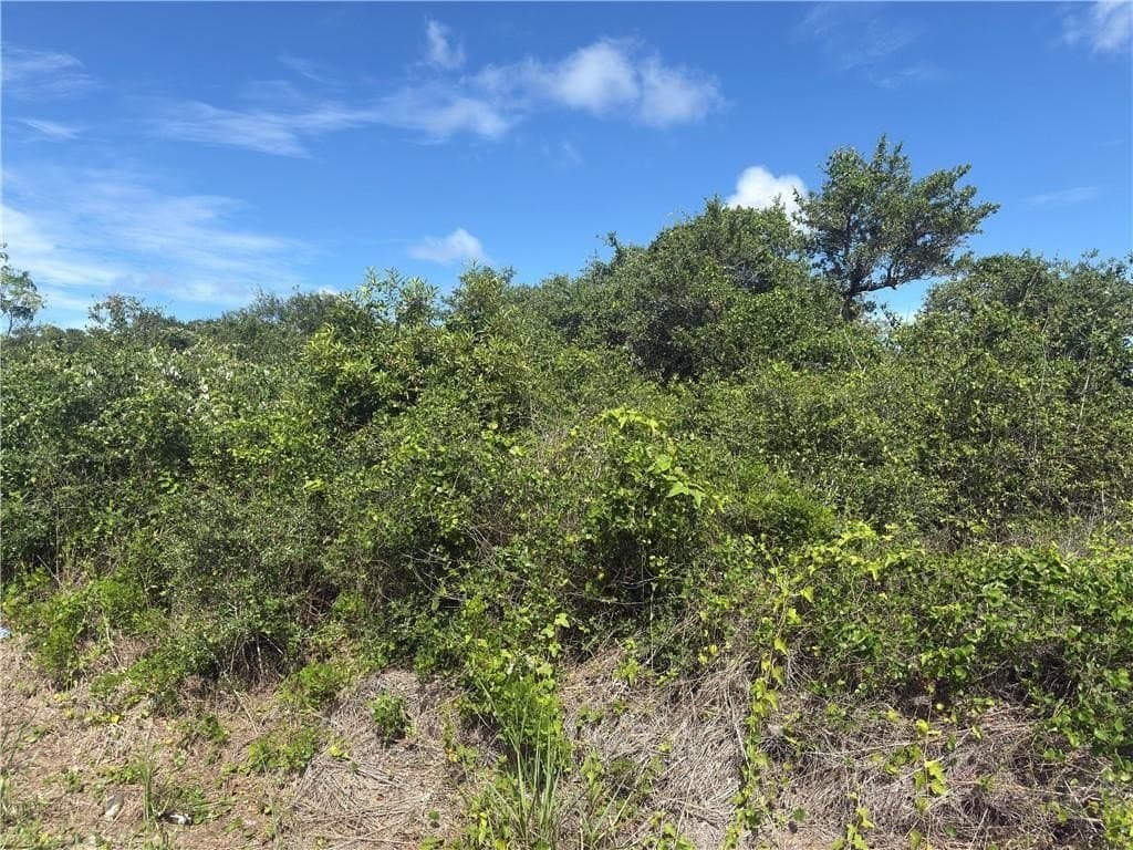 0.42 acres in Texas County - photo 2