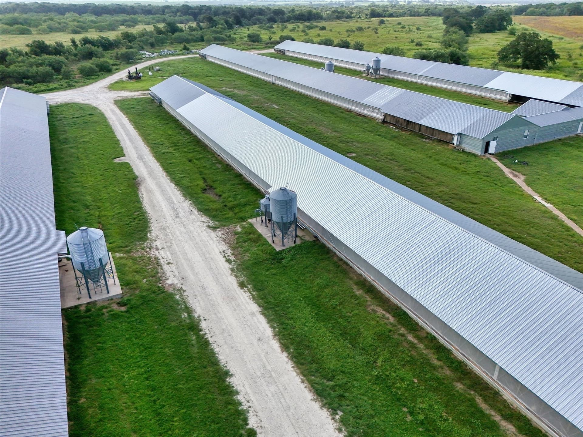40 acres in Falls County - photo 5
