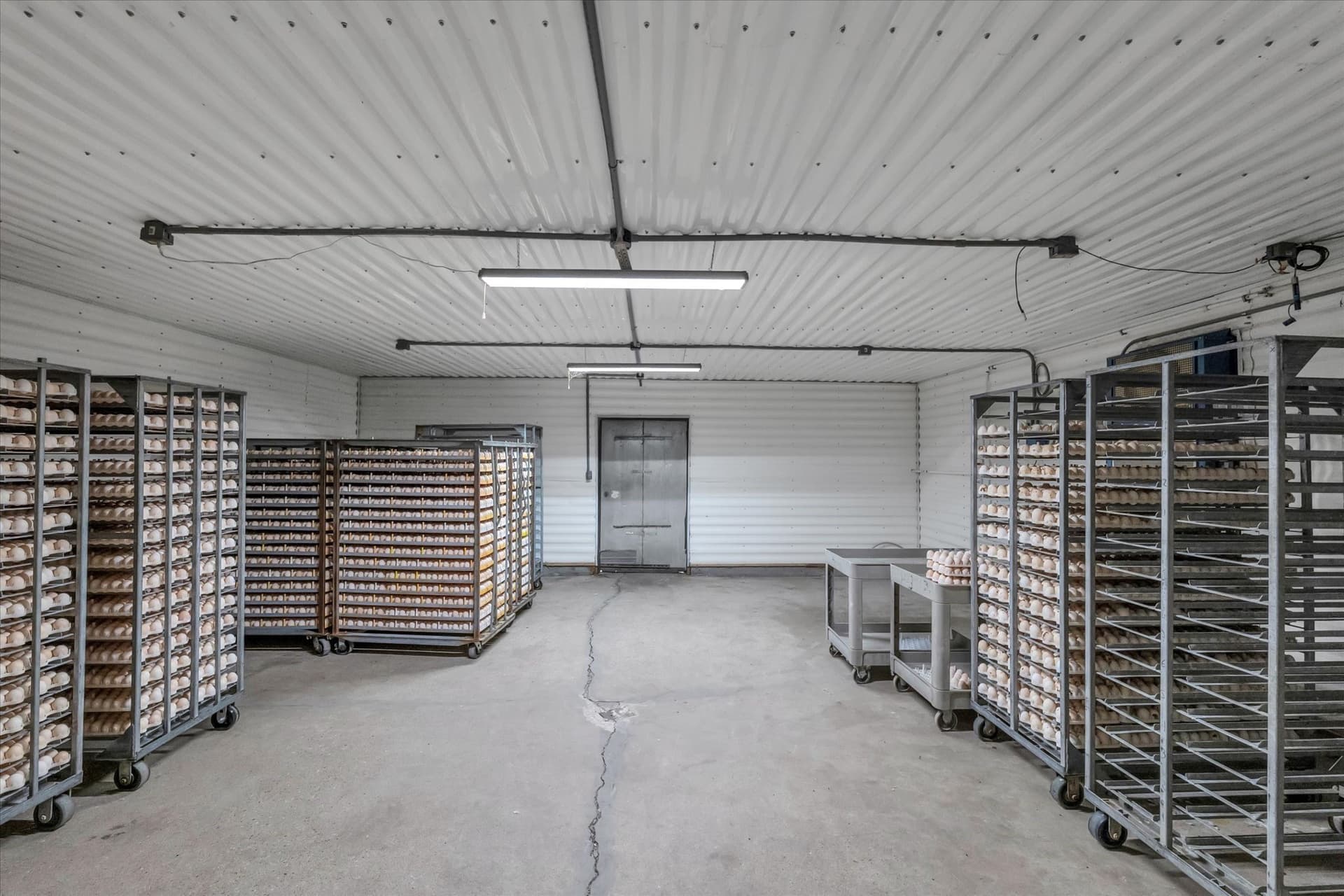 40 acres in Falls County - photo 12