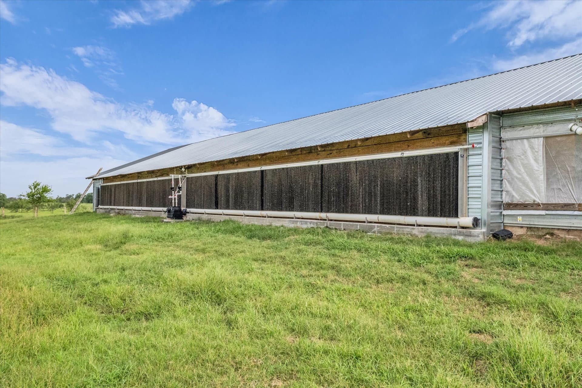 40 acres in Falls County - photo 3