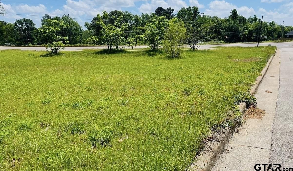 0.4 acres in Smith County gallery image 3