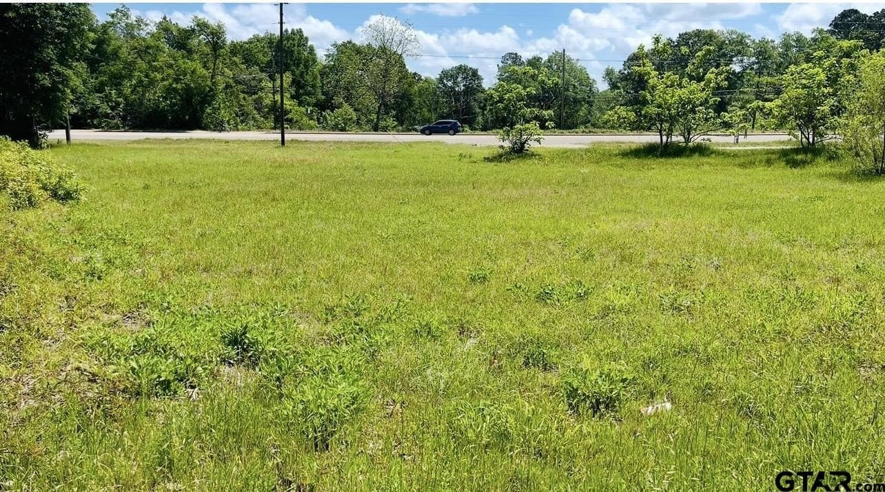 0.4 acres in Smith County gallery image 4