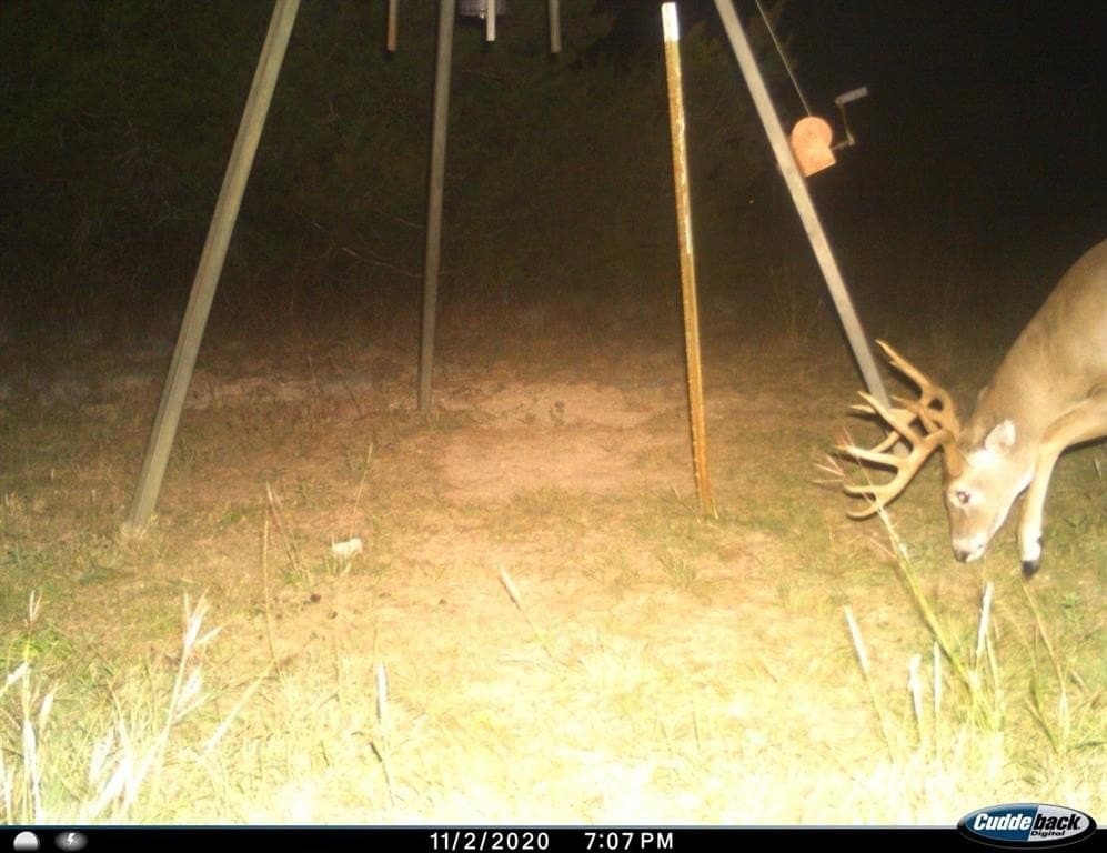 18.62 acres in Coryell County gallery image 2