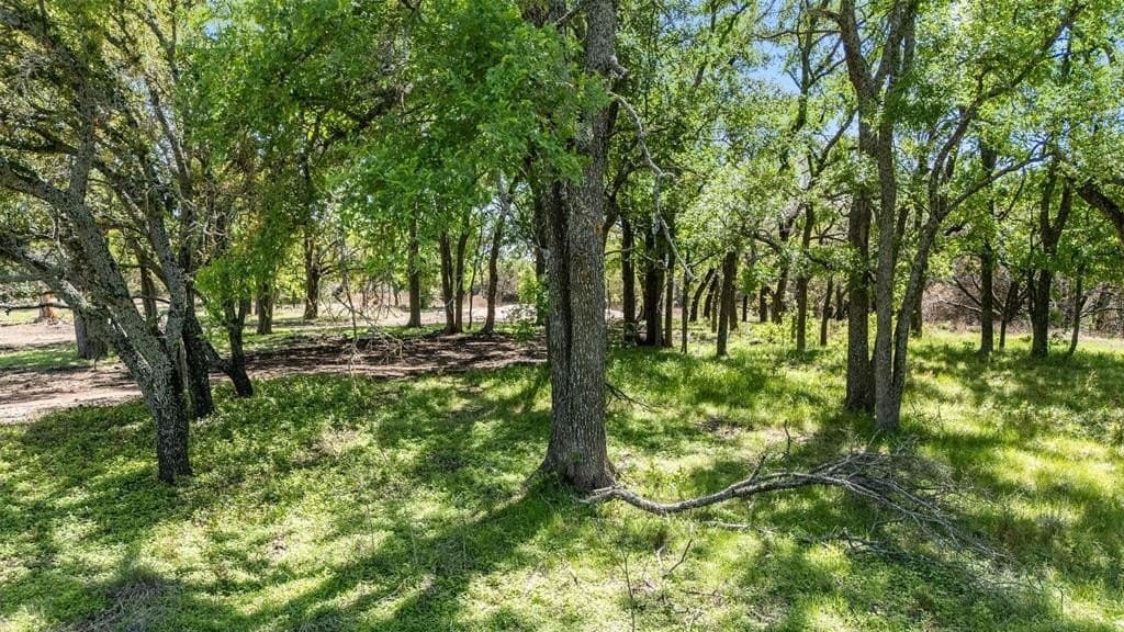 18.62 acres in Coryell County gallery image 4