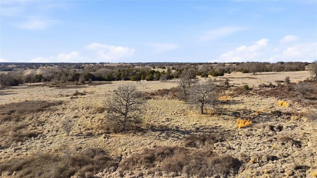 283.53 acres in Montague County gallery image 3