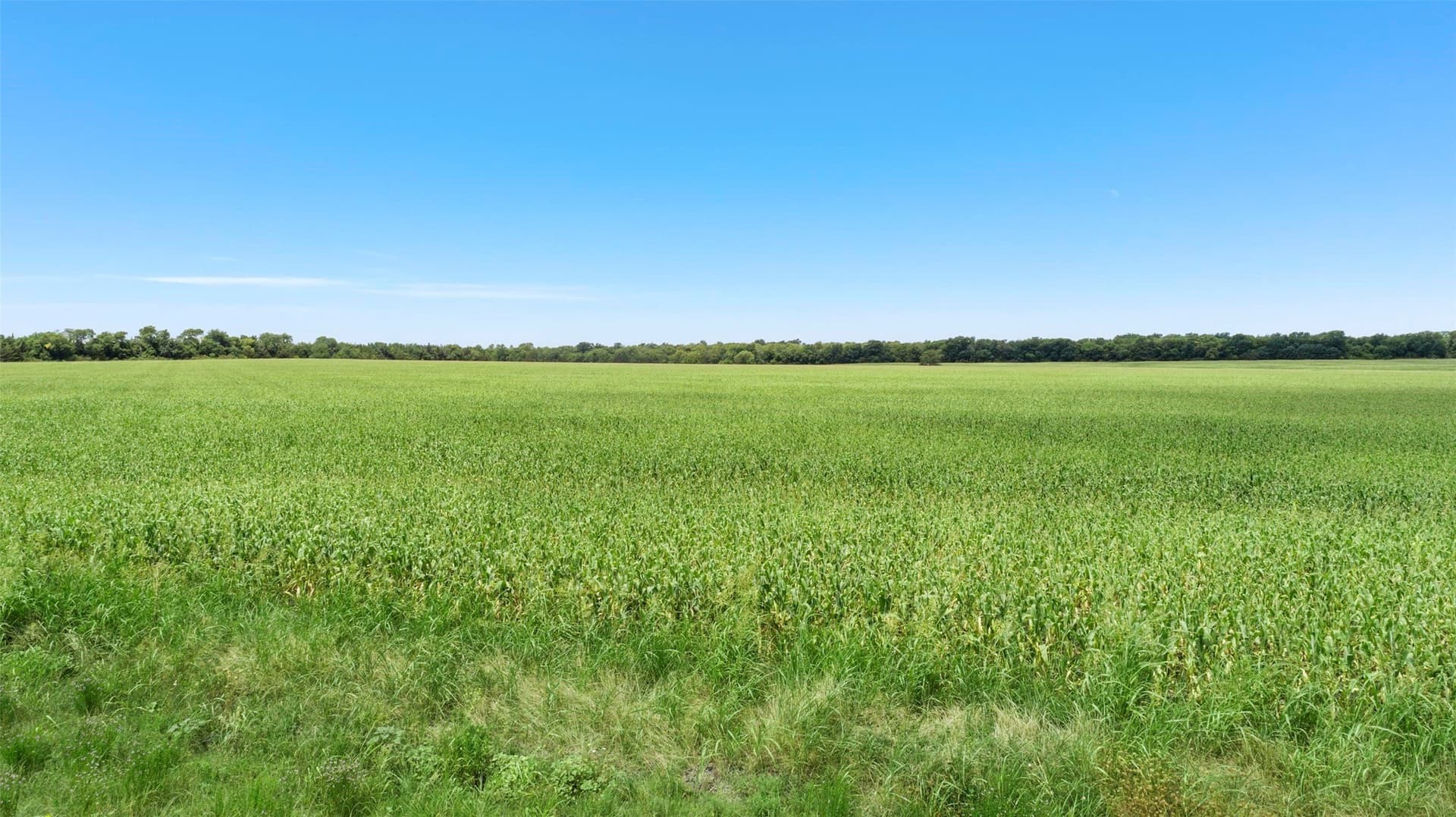 104.98 acres in Hunt County - photo 13