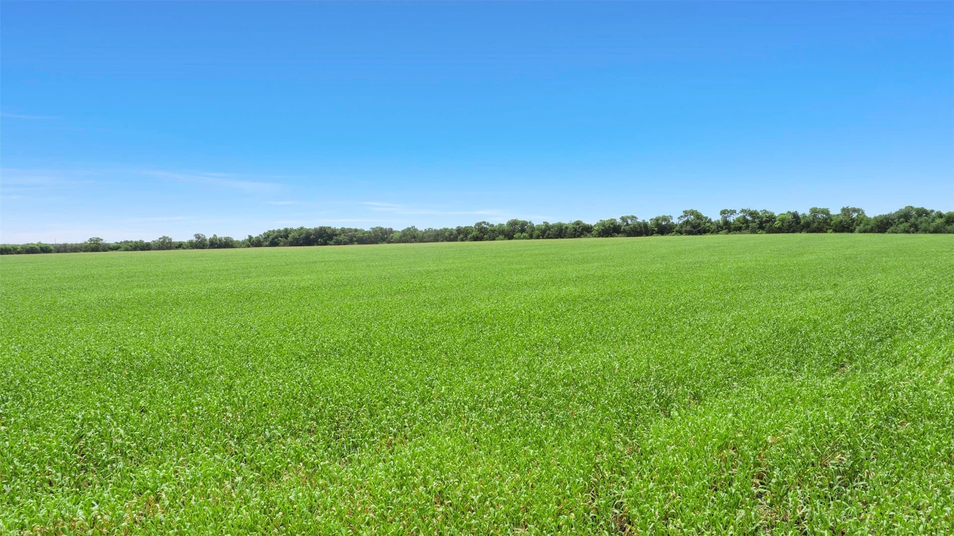 104.98 acres in Hunt County - photo 6
