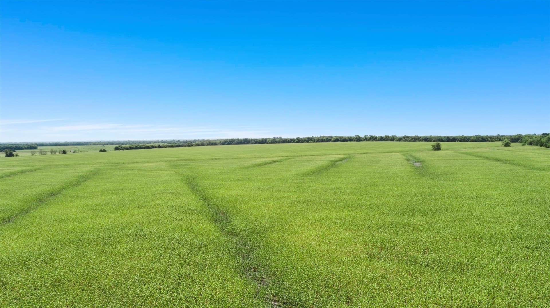 104.98 acres in Hunt County - photo 4