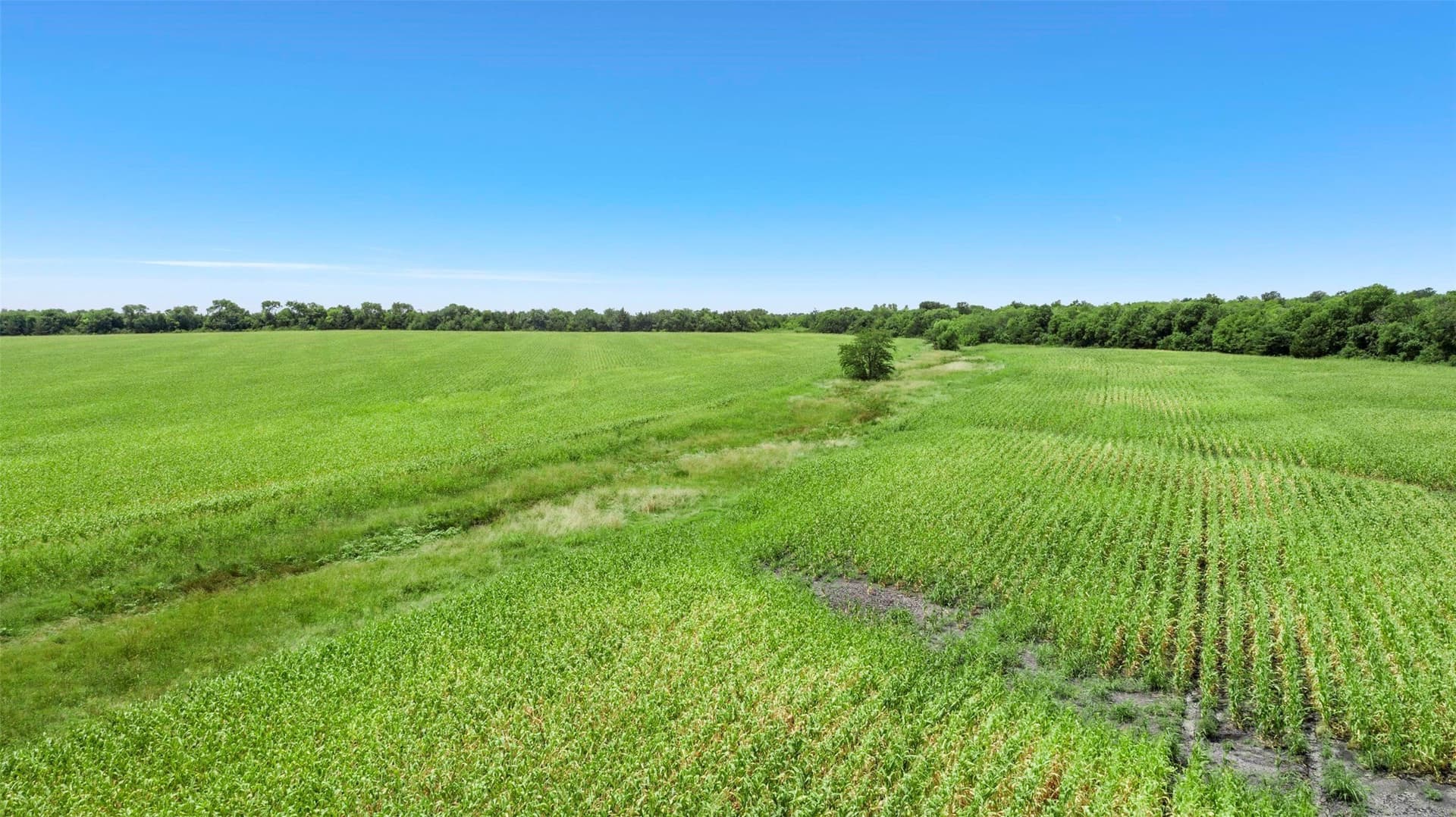 104.98 acres in Hunt County - photo 5