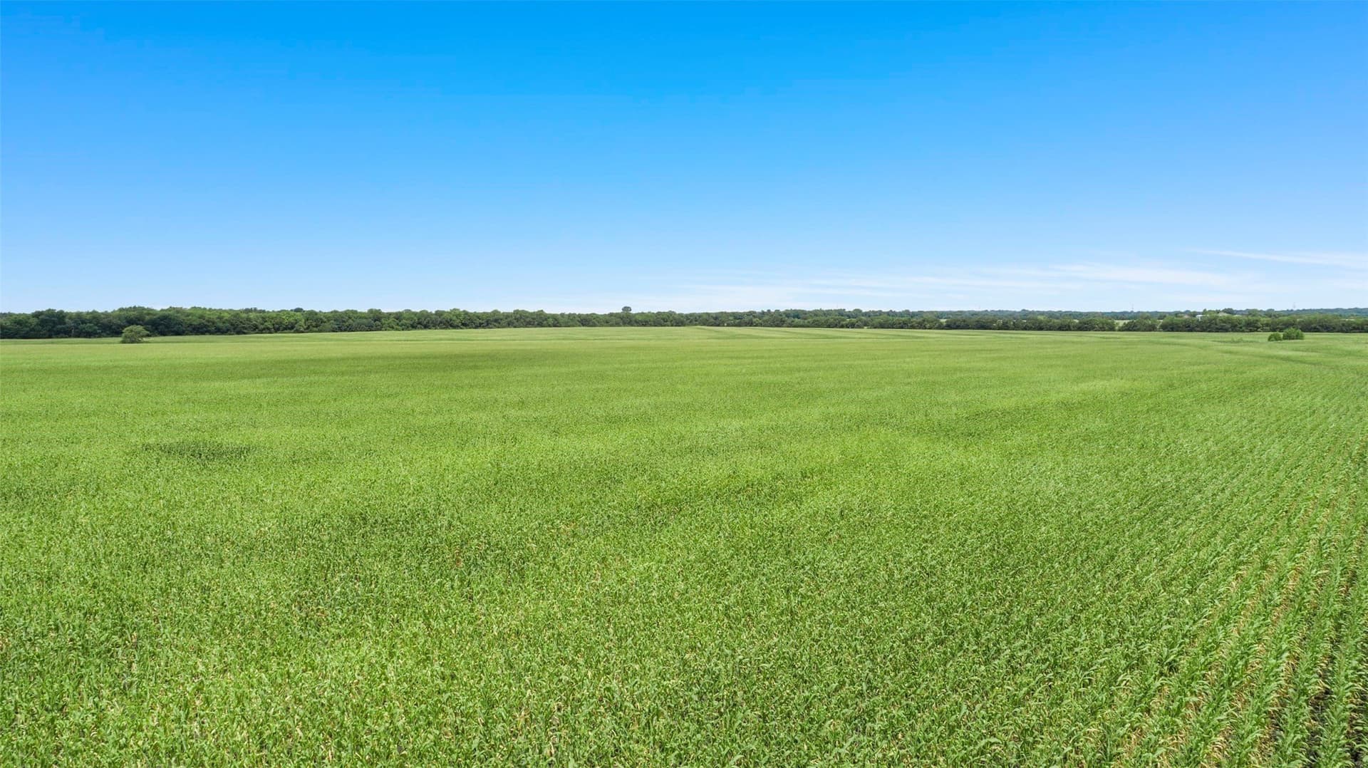 104.98 acres in Hunt County - photo 12