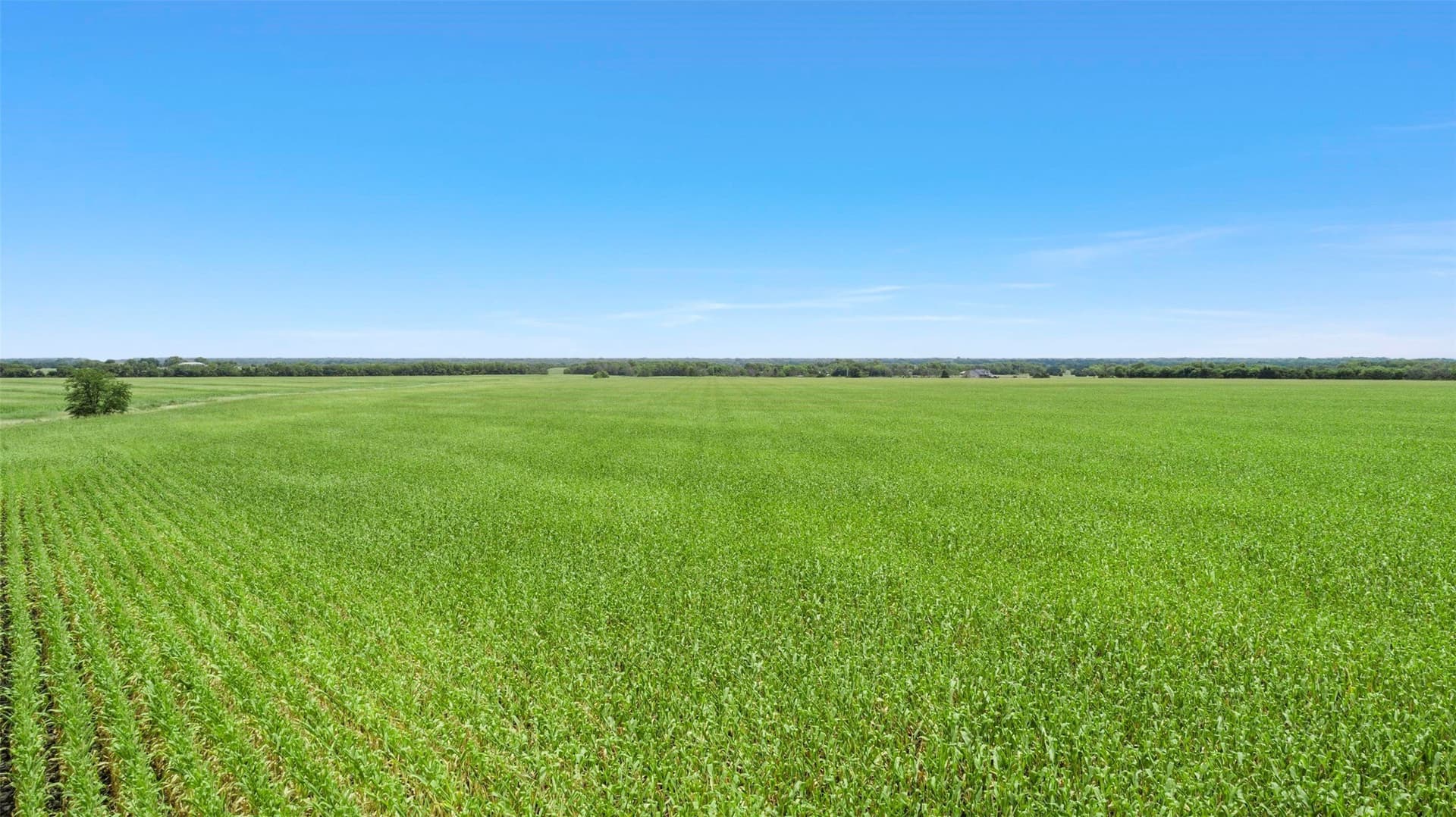104.98 acres in Hunt County - photo 7