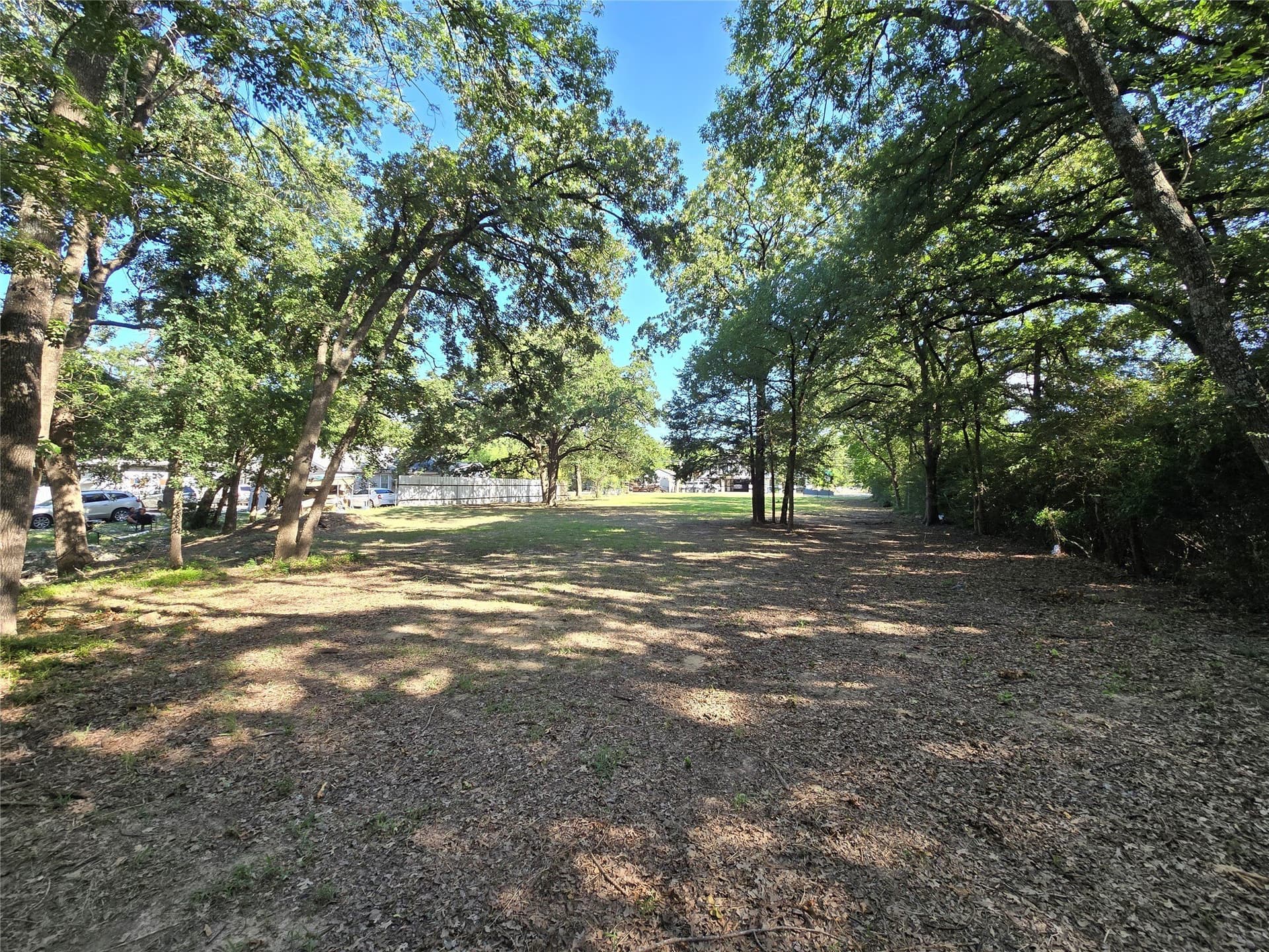 1.01 acres in Dallas County - photo 7