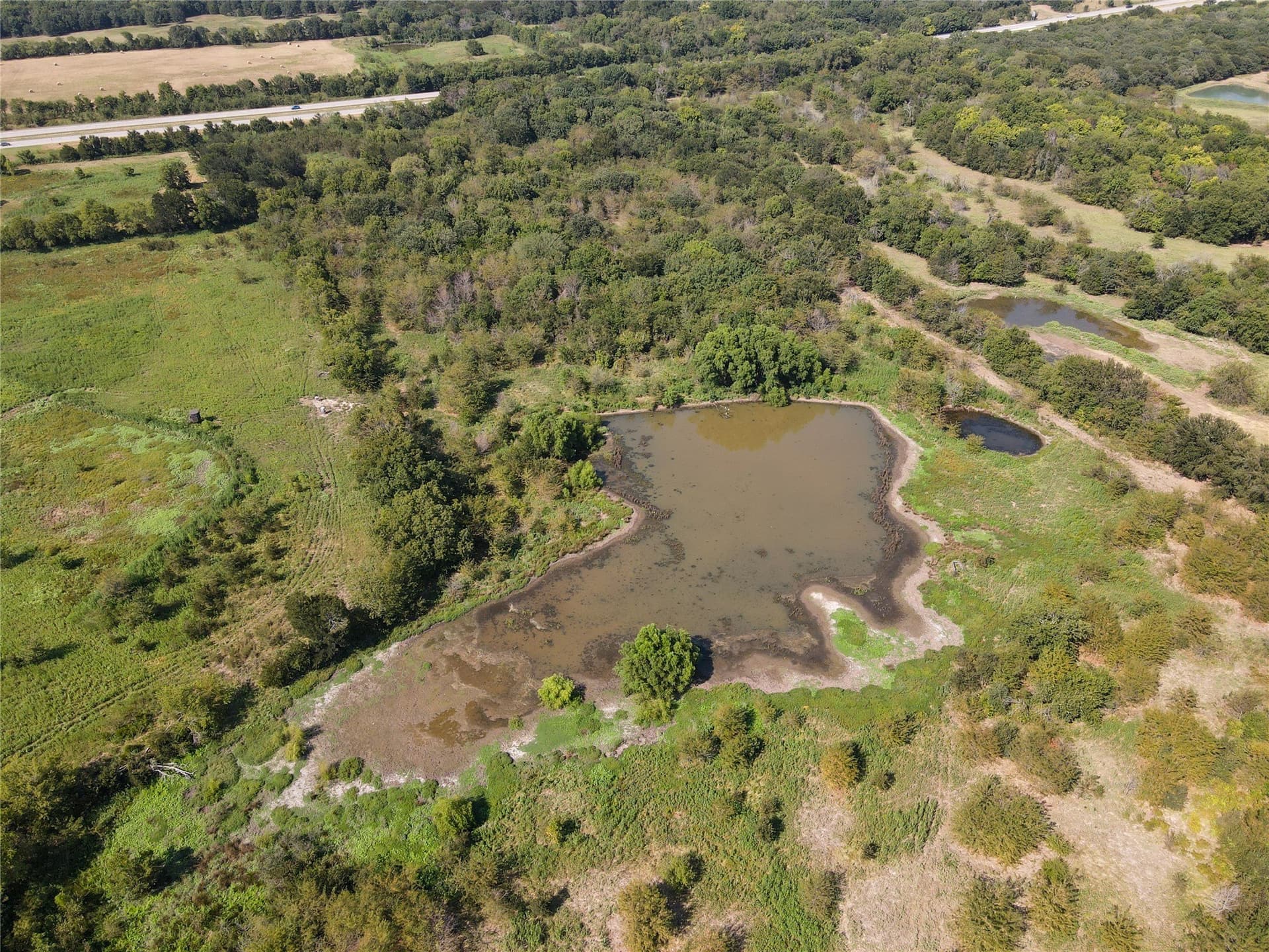 39.83 acres in Grayson County gallery image 4