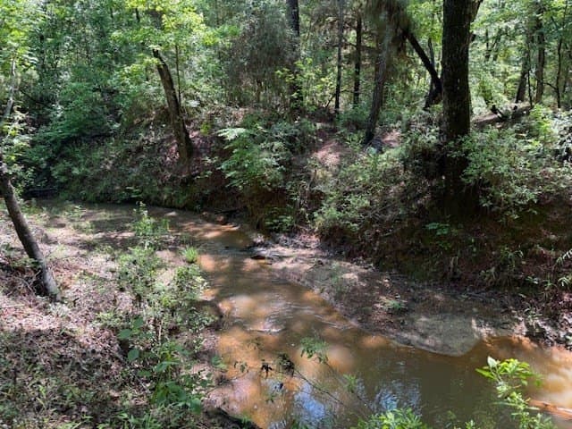 139.2 acres in ANDERSON County - photo 25